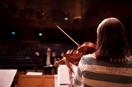 Alto violin: Susanne Brunstr&ouml;m Stigh&auml;ll
